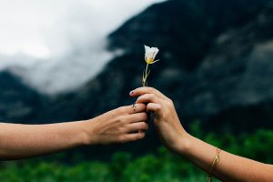 fiori australiani gratitudine