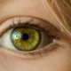 occhio verde iridologia
