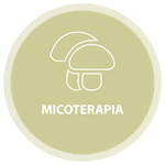 Micoterapia - Icona Francesca Panfili
